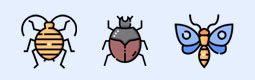 动物植物-昆虫小动物图标下载